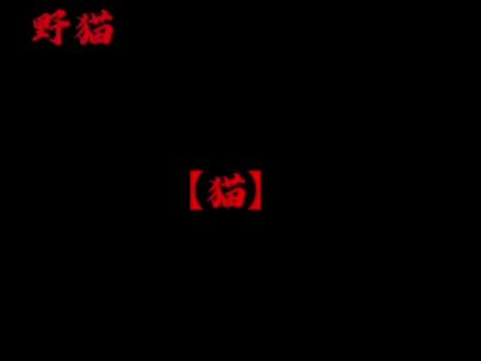 一群有故事的猫 #十日终焉 #遗憾#猫队#意难平#刀子
