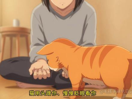 猫咪的视角带你看世界 #宠物科普 #猫咪 #猫咪心理 #猫咪的世界 #铲屎官必看