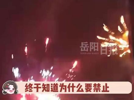 终于明白为什么不让放烟花爆竹了,原因竟然是… #过年#禁燃禁放#烟花