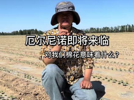 厄尔尼诺即将来临,对我们棉花意味着什么?#厄尔尼诺 #新疆农业 #棉花 @抖音小助手 @DOU+小助手