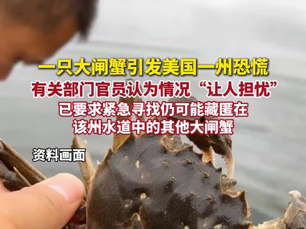 一只大闸蟹引发美国一州恐慌…