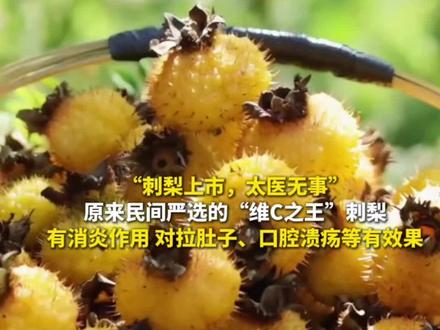 “刺梨上市,太医无事”,原来民间严选的“维C之王”刺梨,有消炎作用 对拉肚子、口腔溃疡等有效果。#贵州 #i贵州