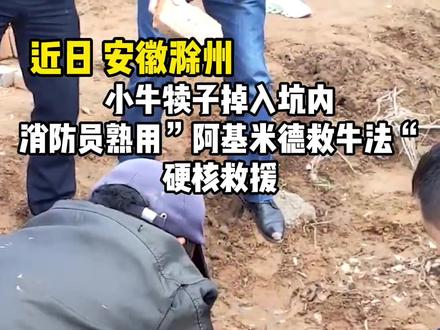 #消防救援 小牛犊子掉入坑内,消防员熟用”阿基米德救牛法“,硬核救援@安徽消防 @中国消防