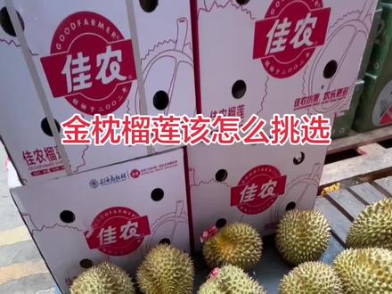 金枕榴莲挑选秘籍,出肉率高,选南瓜型的,皮薄的刺尖密集,口感,选奶油尖尖#挑选榴莲 #金枕榴莲