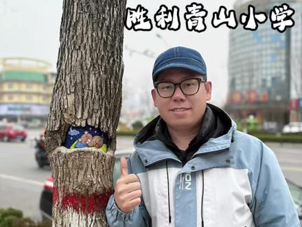 树洞限定小熊,等你来偶遇#记录美好生活 #东营 #树洞画 #治愈 #传递美好