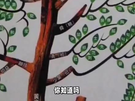 你信不信根据姓氏推断祖上的职业 #姓氏