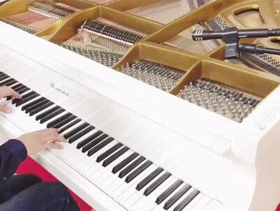 这首优美的钢琴曲大家熟不熟悉呢? #神秘园之歌 #钢琴 @抖音小助手