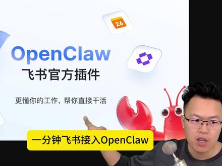 openclaw接入飞书教程,飞书接入openclaw保姆式教程 #openclaw #AI #飞书 #黑客 #程序员