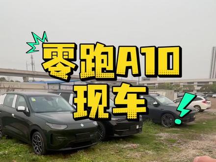 新车A10,现车安排 #粉丝提车 #零跑汽车 #家人福利