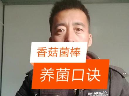 香菇养菌口决#木耳 #食用菌 #香菇 #服务三农 #三农服务 #农业技术 #三农 #技术分享