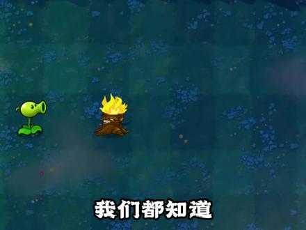 植物大战僵尸:强势的组合!#植物大战僵尸 #pvz
