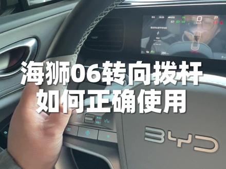 有觉得比亚迪智驾车型的转向灯拨杆难用的吗?我是真的习惯了好一会#转向灯操作 #比亚迪转向灯 #海狮06
