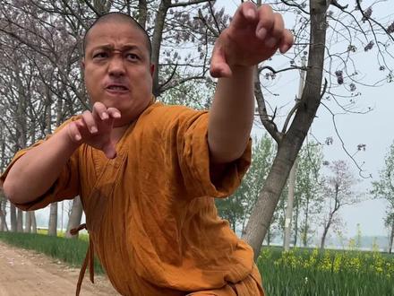 传统武术炮拳、我打杂家的 #一见爱上传统文化 #少林寺 #迟延延