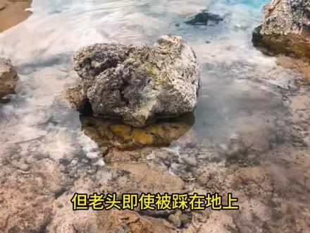崩之方法 #崩铁 #崩铁同人 #贝利亚奥特曼 #爽文 #男生必看