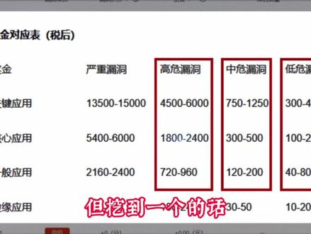 一个漏洞几千块,到底怎么做到的? #网络安全 #计算机 #程序员 #黑客 #编程