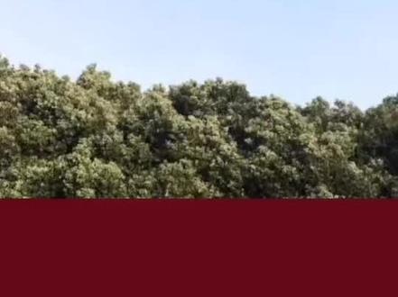 U23国足少年们请抬起头,你们已经创造了历史,你们真的很棒了!#U23国足请抬起头 #U23国足已经很棒了 #U23国足获得亚洲杯亚军 #U23亚洲杯