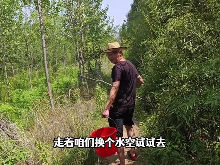 神秘河沟野采野生“娃娃鱼”,脚下一滑摔入河底,抓到后大失所望 #宠物#三农 #娃娃鱼