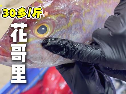 6种海钓人常吃的鱼,你都吃过哪些#财神爷快点来 #钓友交流中心 #深海鱼 #三文鱼 #刺身