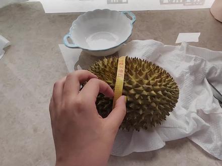 算不算踩雷呢?拼多多榴莲怎么样可以不踩雷呢!球推荐店铺~😘 #在家剥榴莲 #开榴莲的正确方法 #沉浸式剥榴莲 #自己动手剥榴莲 #徒手开榴莲