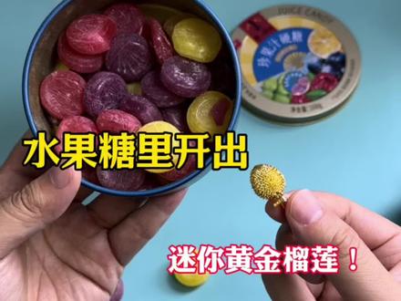 水果糖里藏有黄金榴莲 #寻宝#一口气看完系列#揭秘