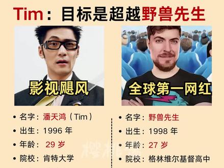 大家觉得Tim能成为中国的野兽先生吗? #Tim #影视飓风 #野兽先生