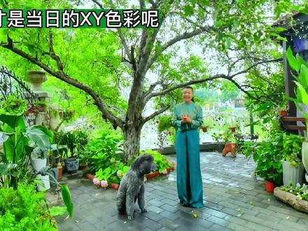 2022年6月28日五行穿搭分享#中视频伙伴计划 #施颐五行服饰定制 #每日穿衣带来好运气 #原创视频