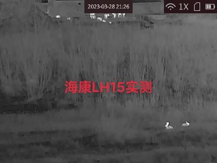 海康LH15实测###热成像 #夜视仪 #现场实拍 #户外 #精彩片段