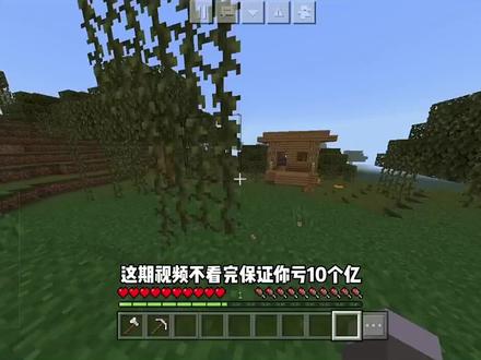 我的世界冷知识 #miencraft #我的世界