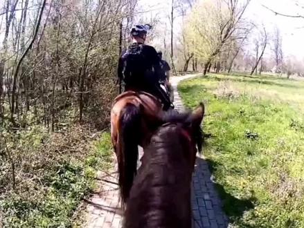 与人工智能讨论白马非马#独立思考 #人工智能 #透过现象看本质 #提升自己 #白马非马