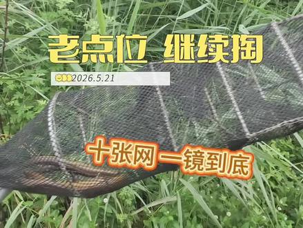 户外 以后叫我一根大师!#户外 #黄鳝 #户外抓黄鳝泥鳅 #创作者中心 #创作灵感