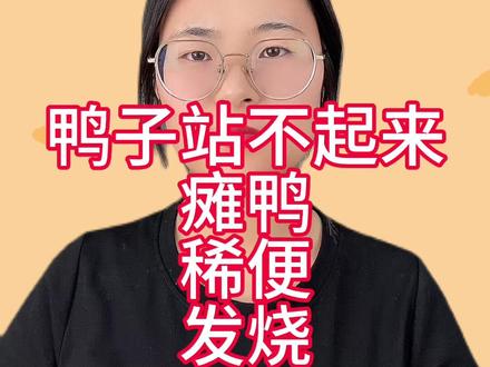 鸭子站不起来趴在地上鸭子站不起来但是精神还可以鸭子站不起来是咋回事鸭瘫的原因和治疗方法鸭瘫怎么办#鸭子站不起来 #鸭子站不起来得了什么病 #鸭瘫 #鸭瘫痪 #肉鸭养殖