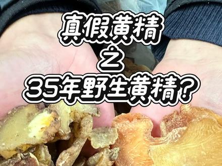 挑战网购中药材去市场验证之黄精#黄精 #中药材