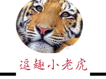 火柴人战争3:寒冰弓箭手搭配僵尸大军,性价比超高