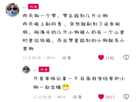 小狗狗和大哥的缘分 #en王翊恩#狗狗救助#一个很好的人#真诚#有爱心
王翊恩,你的行动就是最好的,虽然不善于表达,但你所做的这一切都能证明你真的是个很好的人,总是默默的用行动来感化这一切,希望善良的人能被这个世界温柔以待,我想你肯定也会对做的这一切感到小小的骄傲,en次方真的粉对人了,我们一直会支持你
当我看到请不要骂我这句话,我知道你真的很害怕这些,你怕做的不够好,但是做好自己才是最好的,不要因为这些而感到不开心,就像你说的:大家都要天天开心啊!
我相信这六只小狗会被你照顾的很好,是你给了它们新的生命,你真的好真诚啊!
同时我希望大家能够越来越关注动物救助,保护动物,善待它们