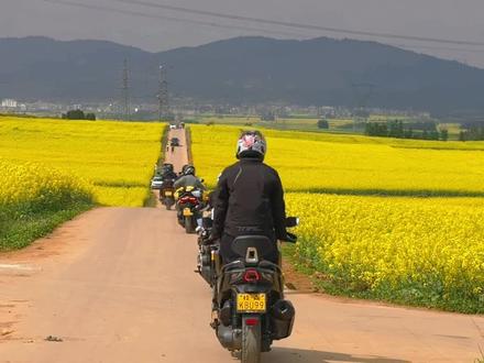 这风景,有辆360度全景的摩托车它不香吗?#让骑行成为一种生活 #摩托车 #摩旅 #风和自由 #春天一起骑行追风