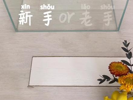 是谁开缸乱加水,还不用加热棒养热带鱼#观赏鱼#水族#养鱼日记