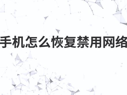 手机怎么恢复禁用网络