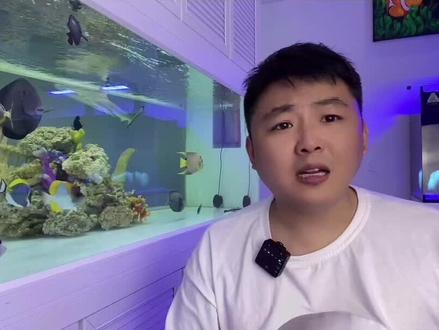 干活分享,灯光的重要性,如果你缸里现在珊瑚状态很差,欢迎加入树哥vip一对一私教服务,让树哥好好给你分析下你的鱼缸到底是因为什么,下一步应该如何操作