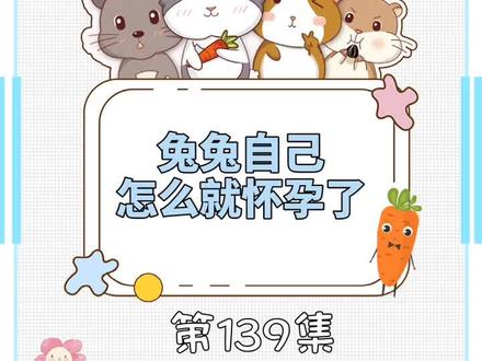 #兔兔窝小课堂 139集 没有公兔,兔兔怎么怀孕了?