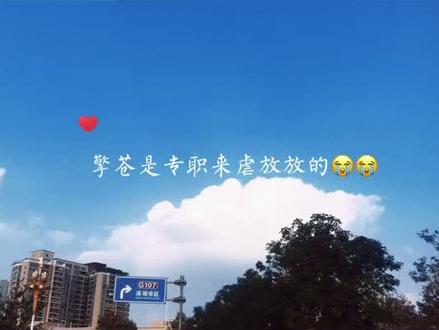 从春飞到空白页再到不堪言,放放的每一部剧都这么虐,让人心疼#广播剧 #猫耳fm #虐心 #cv林放 #推文