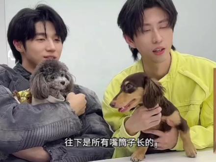 酸甜鱼这个嘴快#摇汞青年 #孙天宇 #蒋易