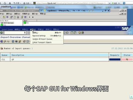 12.3 定制本地布局按钮 #ERP #SAP