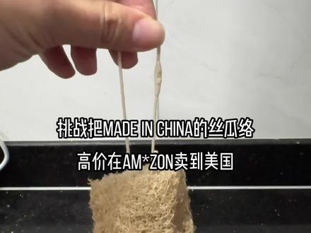 低成本的丝瓜络用AI做成精美商品图,变成了老美眼中环保的香饽饽,这波赚夯了#环保材料 #跨境电商选品 #电商ai工具 #ai作图工具#美图设计室