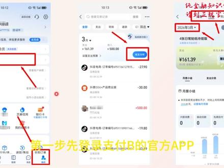 导出支付宝流水 手把手教怎么在支付宝打印流水,在哪里查看汇总#支付宝流水 #打印流水 #银行贷款知识 #深圳金融 #深圳贷款中介