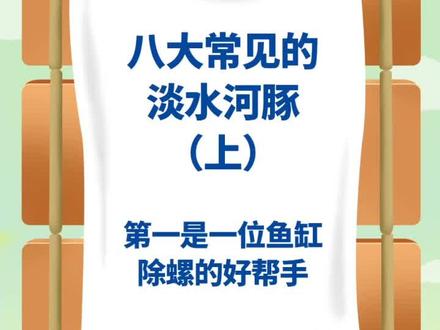 八大常见的淡水河豚(上)#观赏鱼