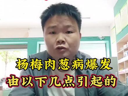 杨梅肉葱病#三农种植#杨梅种植 #新农人2023计划 #果树种植 蓝园农业