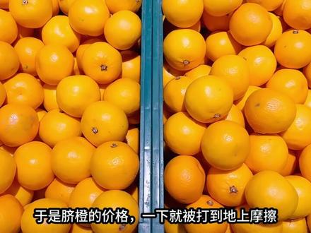 柑橘家族,无视族谱,整个家族彻底失控。