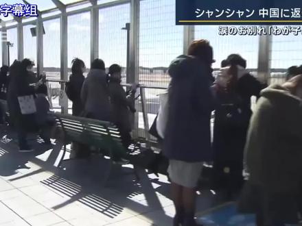 【中日双语】熊猫太贵想退货?中国大熊猫香香回国刷爆日本各大新闻,熊猫作为外交大使可谓是立下了汗马功劳。不过,也有一些国家表示「大熊猫租金太贵了,虽然并非本意,但考虑退租大熊猫」(结尾重要通知!)