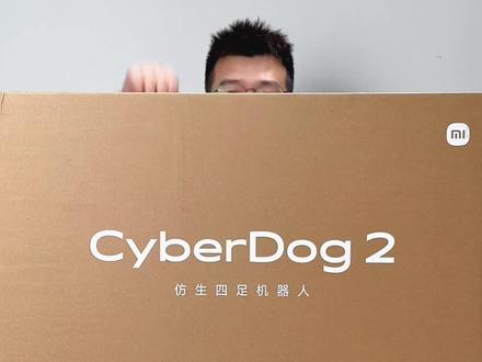 这钱花得值不值?有没有人想收留“事故狗”?