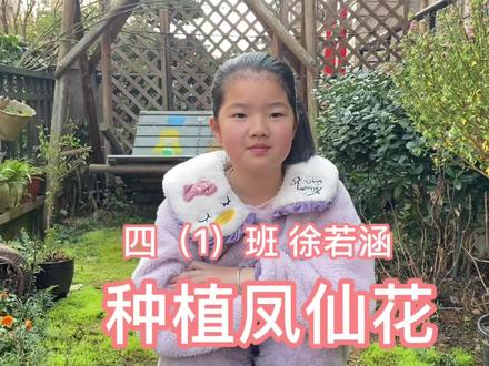 四年级科学作业#种植凤仙花